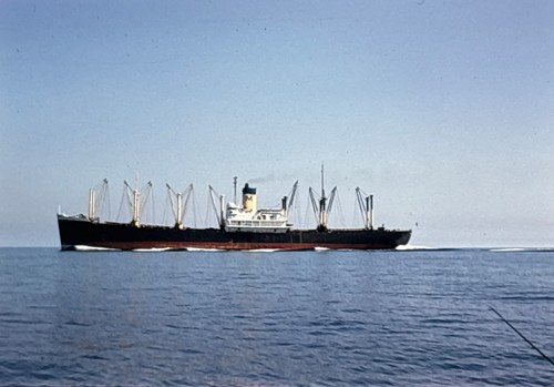 Orig 1964 slide matson lines - slide,